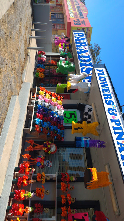Paradise Flowers & Piñatas