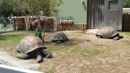 Zoológico de San Antonio