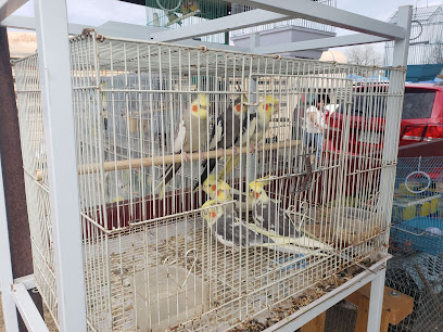 Las Esperanza Flea Market