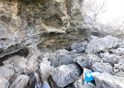 Cub Cave