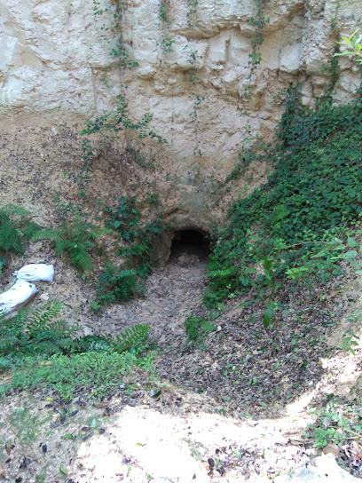 Robber Baron Cave