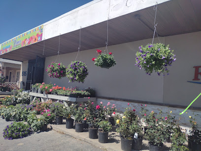 Kermex Fiesta Mexicana