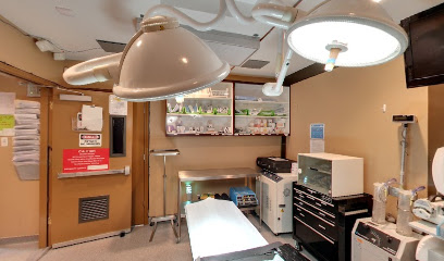Plastic and Cosmetic Center of South Texas